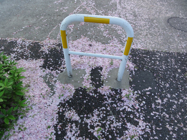 2011-04-24-46
