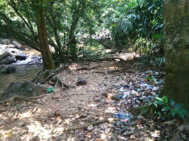 viber image1