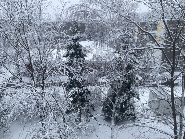 B06-BA0-F0-0-EF5-498-F-BDE9-D9-EEE24-D46