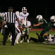 IMG-6771