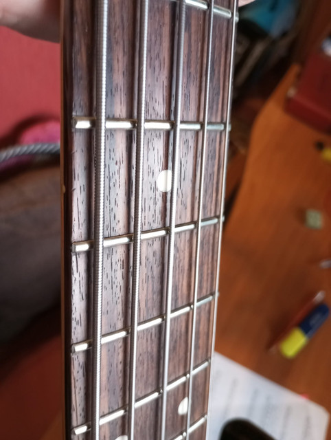 tokai-7