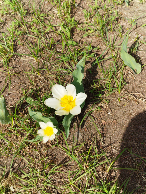 IMG-20230426-130241
