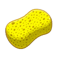 sponge