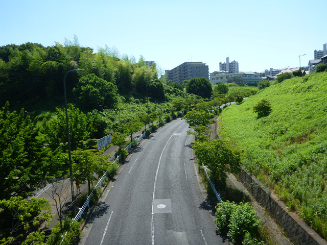 P1320168.jpg