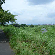 P1330170