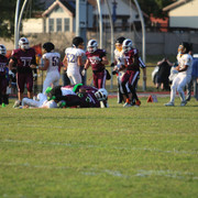IMG-5317