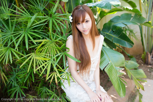 yanni 33