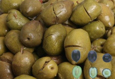 Olives Pico Limon Olives de la variété Pico Limon