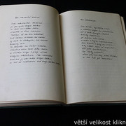 IMG-4174
