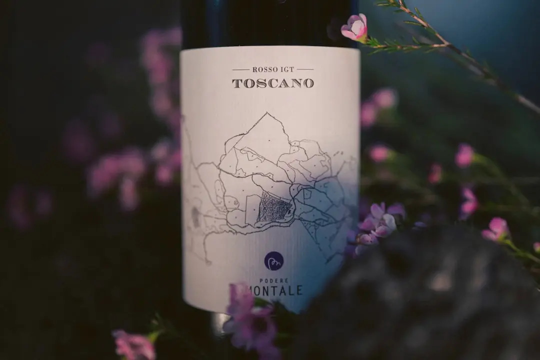 Tuscany Uncovered: A New Way to Explore the Region