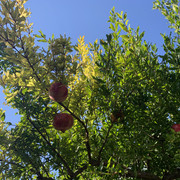 IMG-9813