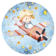 2102413-Pequeno-Principe-Ana