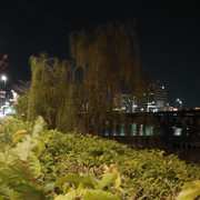 2012-01-03-12