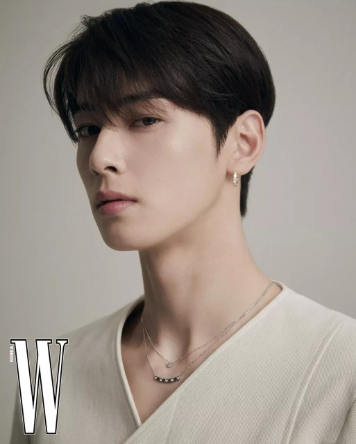 cha eun woo 1249049
