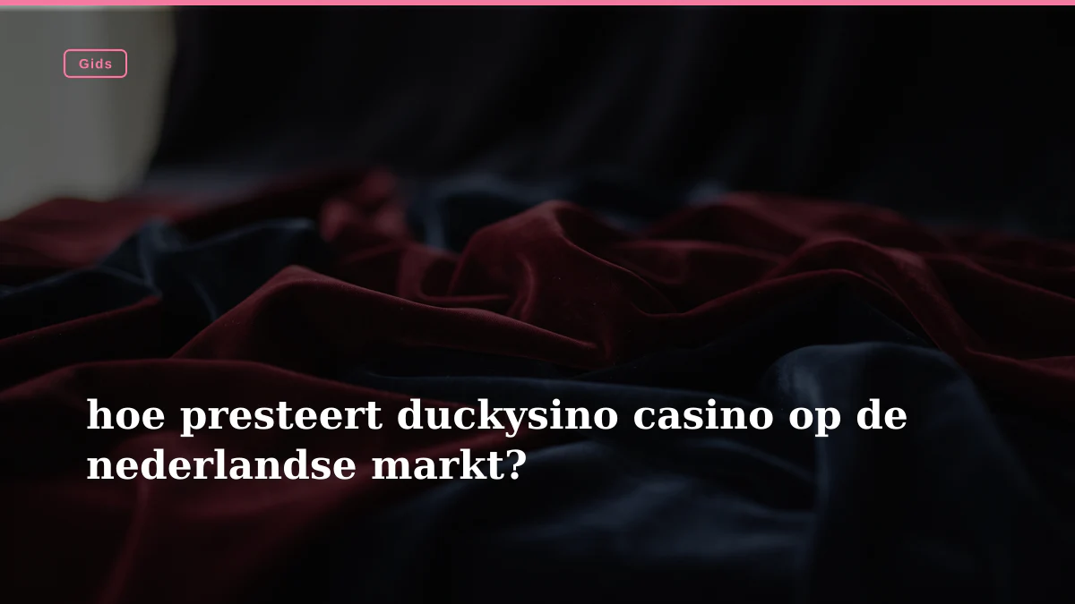 hoe presteert duckysino casino op de nederlandse markt?