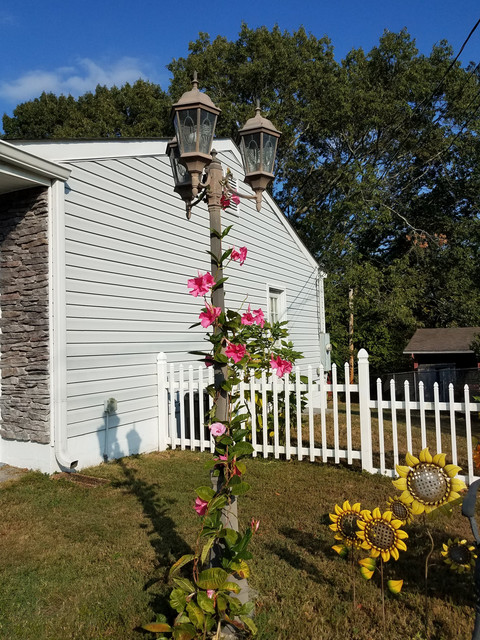20191005 165514.jpg