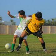 IMG 2529