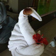 Towel Swan