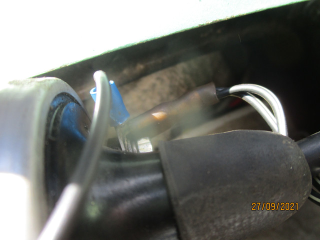 IMG-8421.jpg