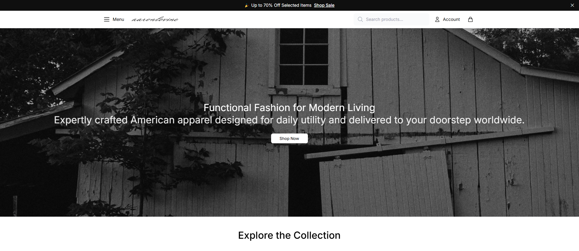 Stored capture of aaronlevinestore.shop