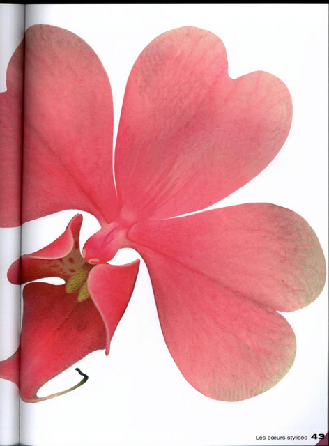 0043