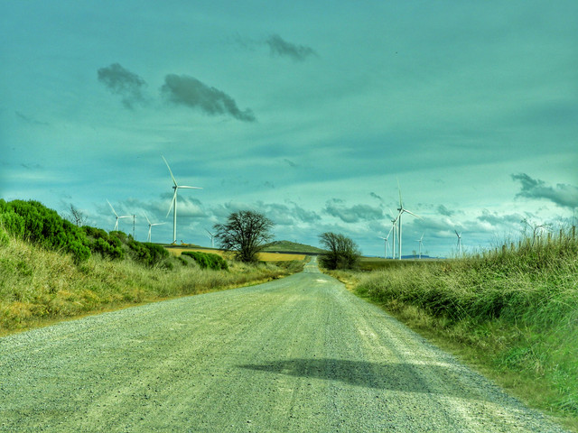 DSCN4974.jpg