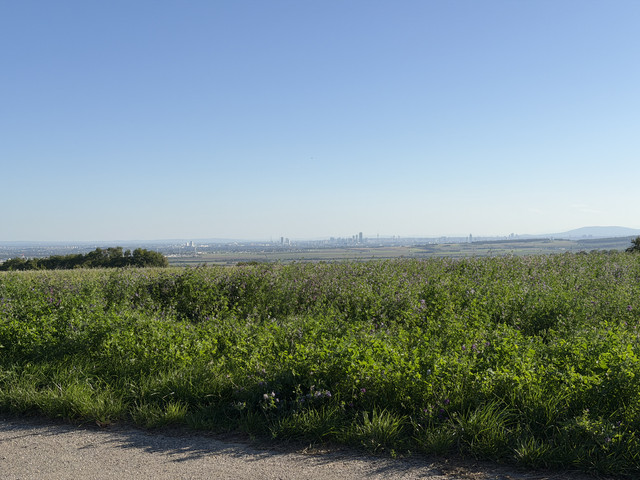 IMG-0435