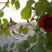 Photo0021