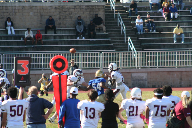 IMG-0976.jpg