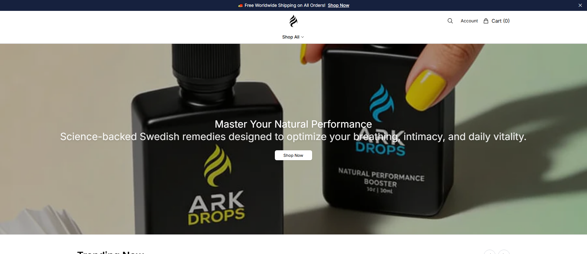 Stored capture of arktic.shop
