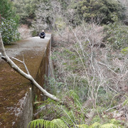 2011-03-11-35
