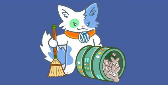 Download Database Cleaner Pro 1.3.9 – Database Cleaner for WordPress