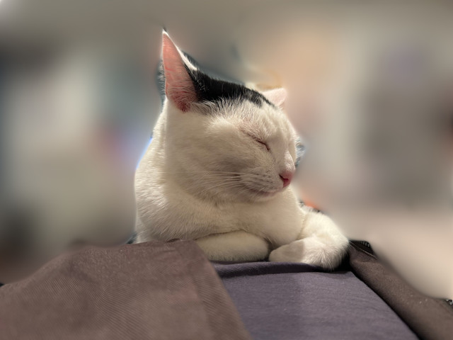 Test