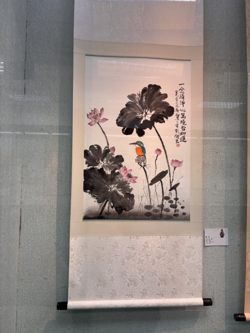最近识别的鸟类图片