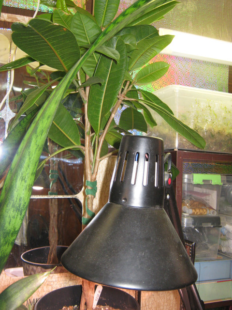 IMG 6442.jpg