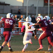 IMG-1612