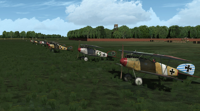 bois1a.jpg