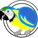 hoop