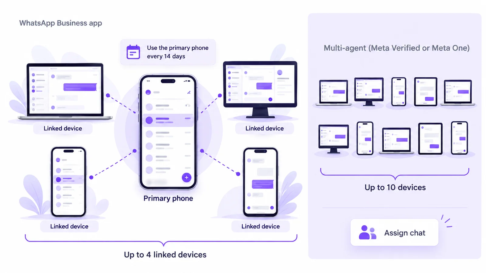 WhatsApp Business app linked devices: a primary phone with up to 4 linked devices, up to 10 with multi-agent, and the 14-day primary phone rule
