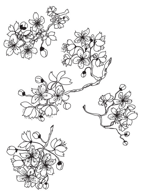 shutterstock 656044135.jpg