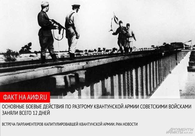 https://i.ibb.co/VWd6LRZn/12.jpg