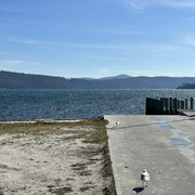 IMG 3059