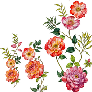 d4b3fef139f47ef514d2e7f8ffc54088