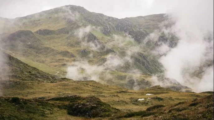 Immobilienmakler für Fügen – grüne Berglandschaft im Zillertal