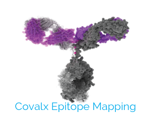 Coval-X-Epitope-Mapping-Web-Testing.png