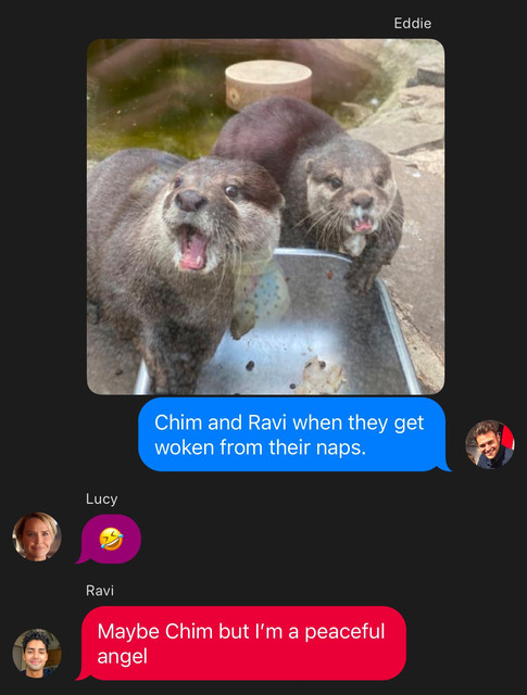 rrrr
