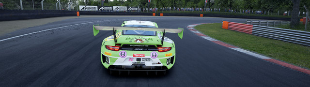 COWCOTLAND-Porsche-991-II-GT3-R-3