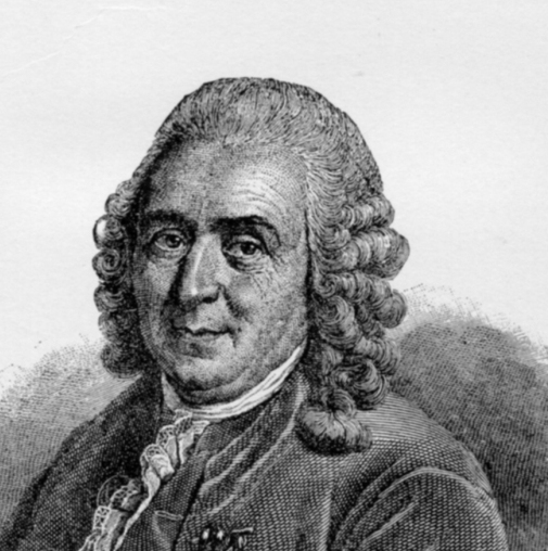  Linnaeus