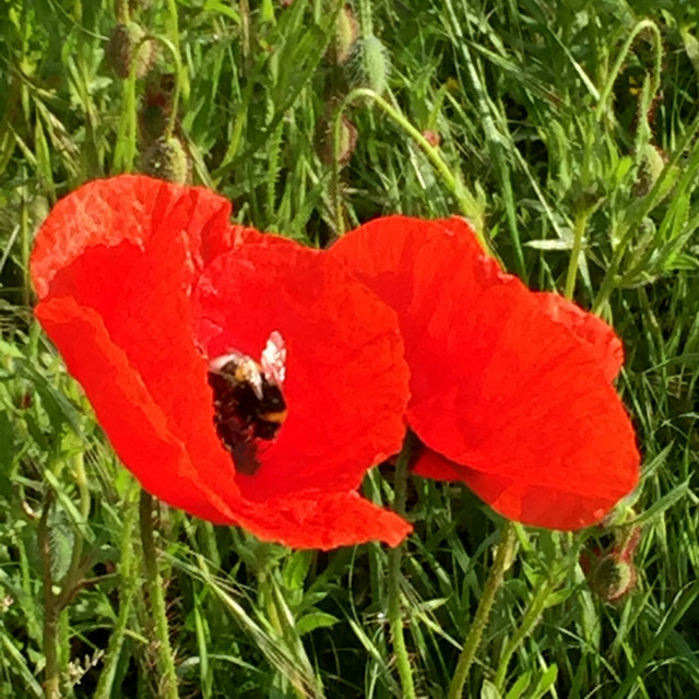 IMG 3216.jpg