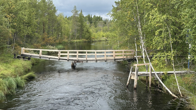 IMG 5578.jpg